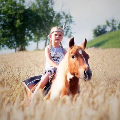 Slovenske gorice